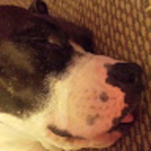 Meet your Posher, Vanessa - Picture 1 of 1